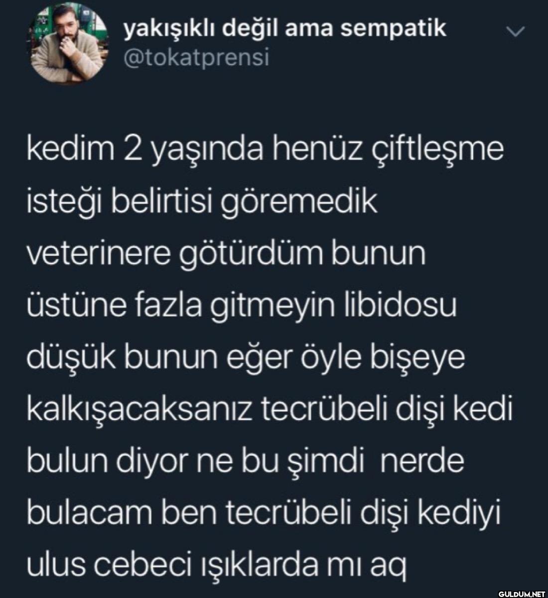 kedim 2 yaşında henüz...
