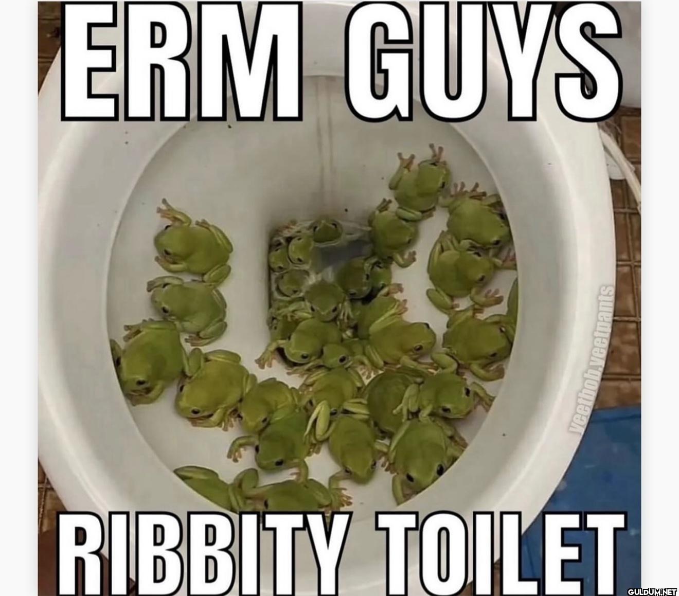 😔😫    ERM GUYS RIBBITY...