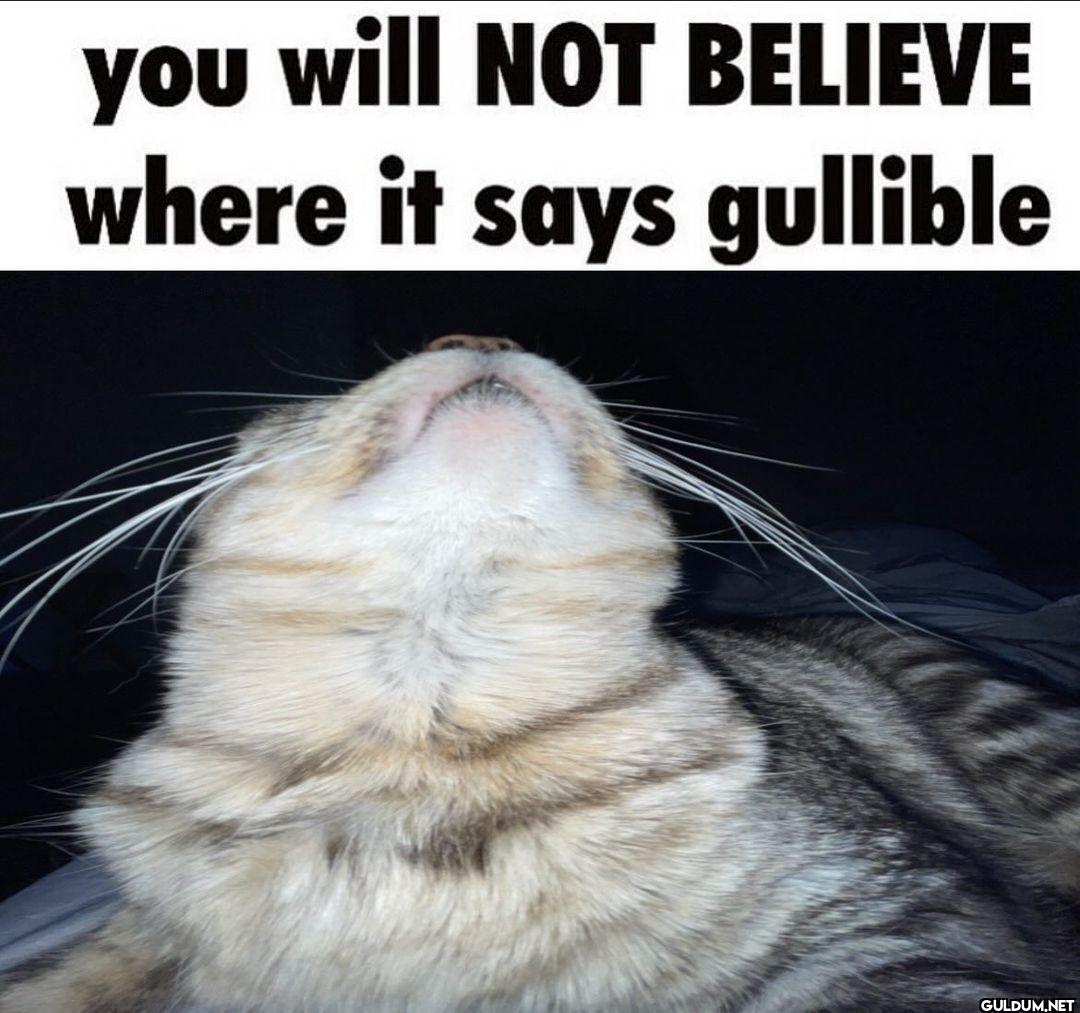 you will NOT BELIEVE where...