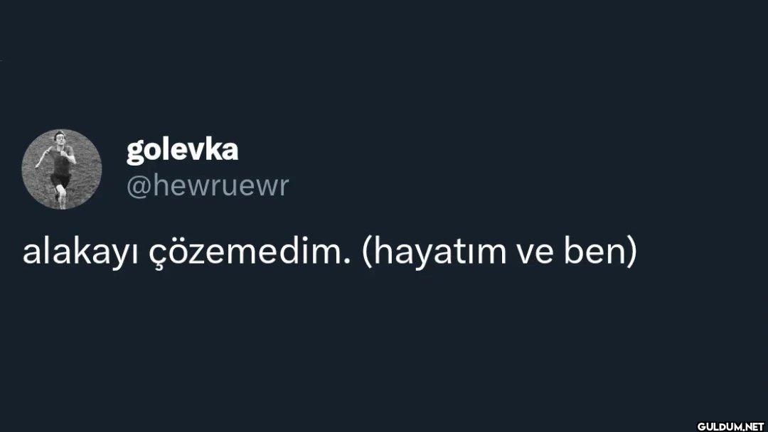 alakayı çözemedim. (hayatım ve ben)