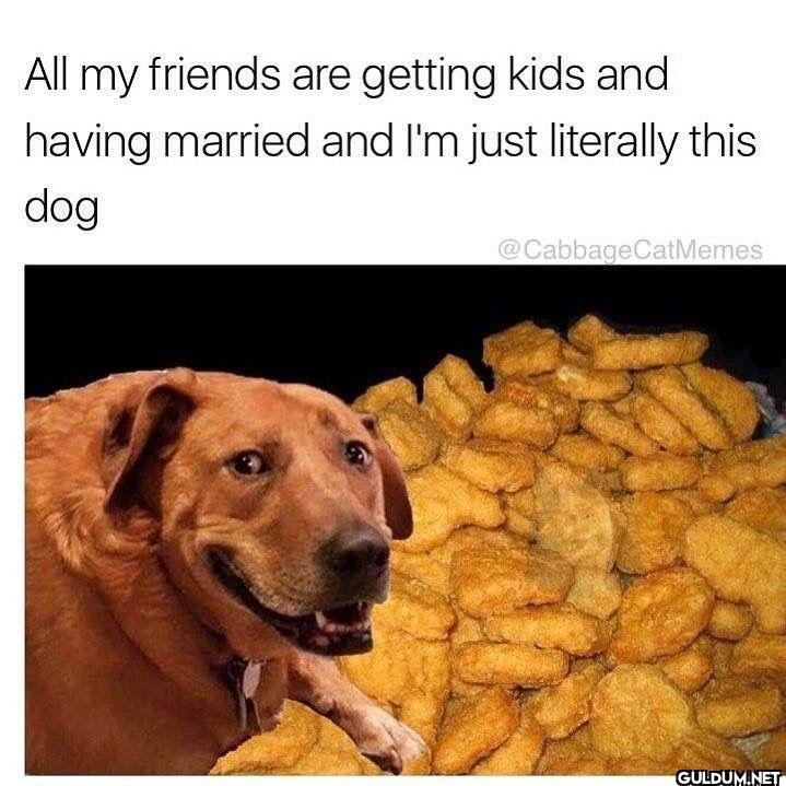 All my friends are getting...
