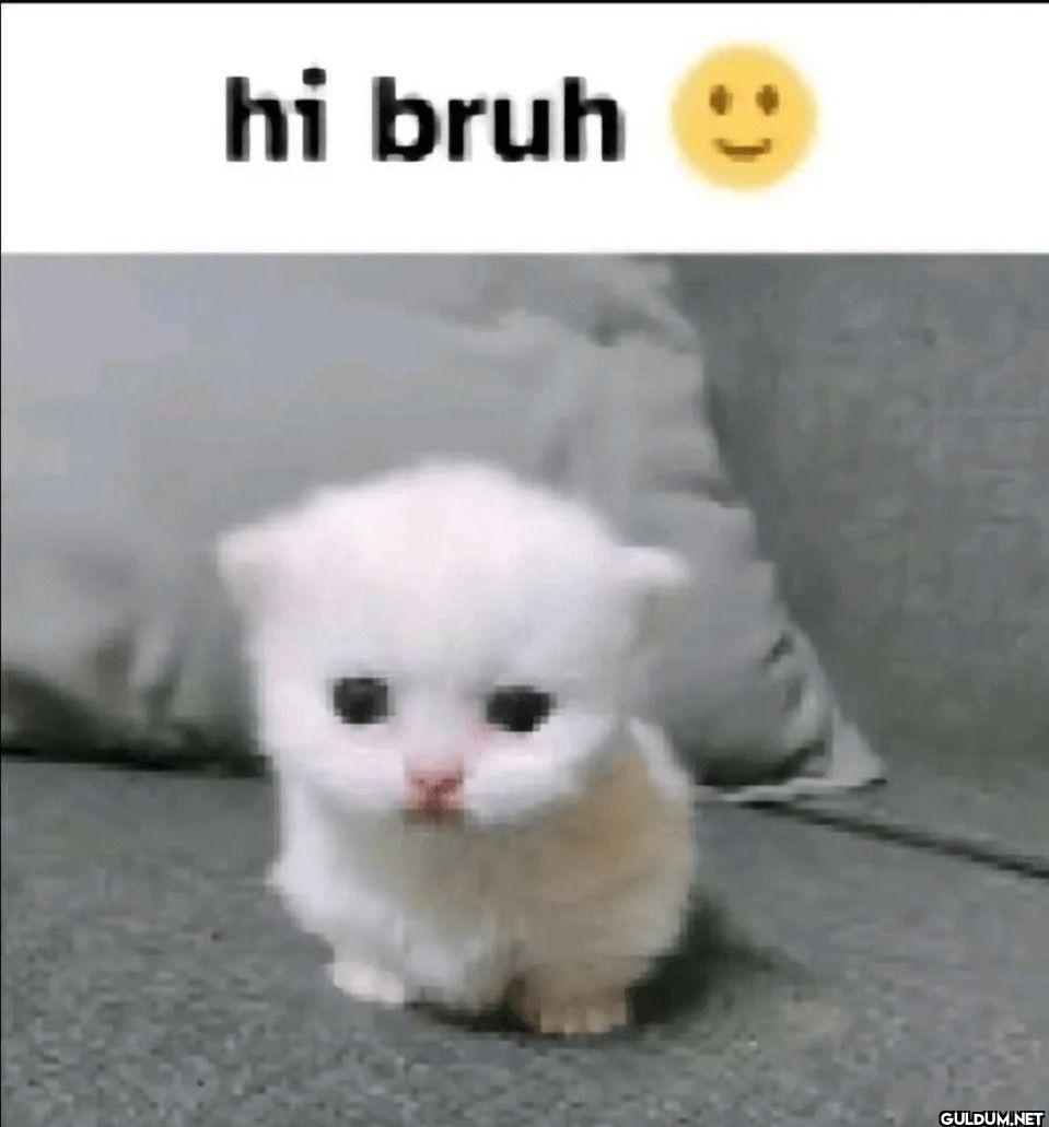 hi bruh