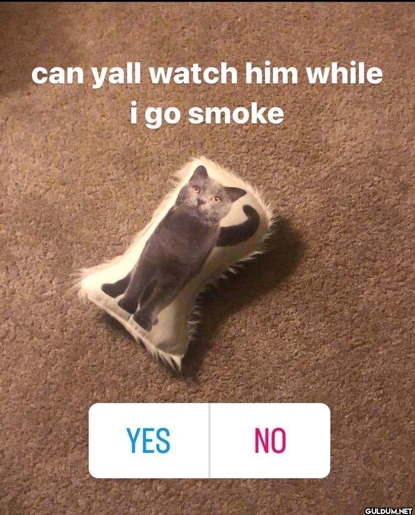 can yall watch him while i...