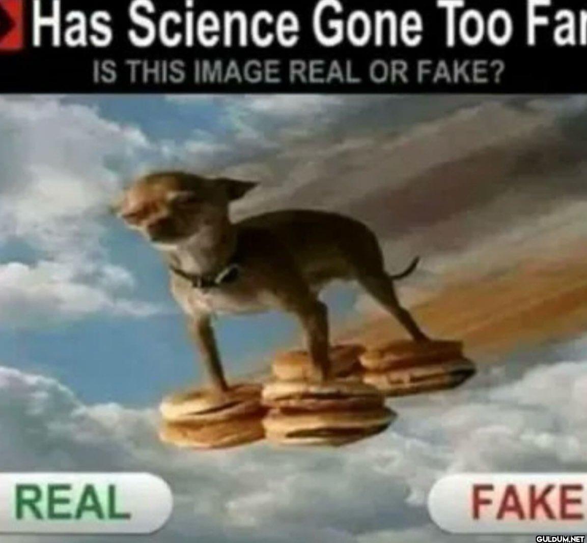 Has Science Gone Too Fai...