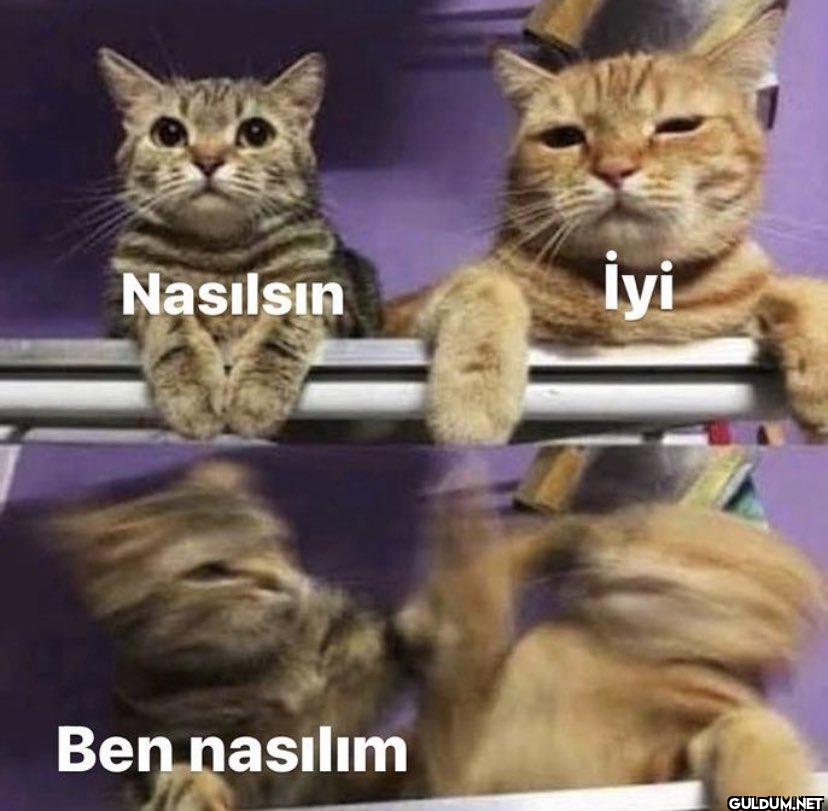 Nasılsın İyi Ben nasılım
