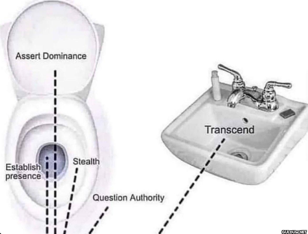 Assert Dominance Stealth...