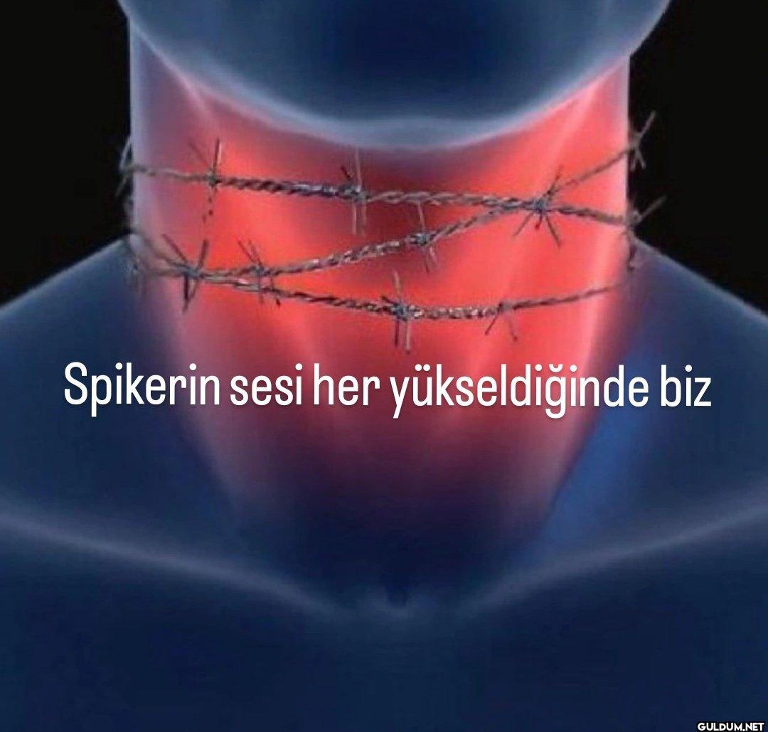 #FileninSultanları   ...