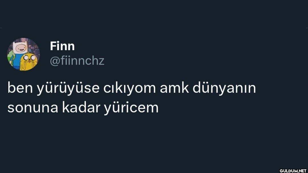 ben yürüyüse cıkıyom amk...