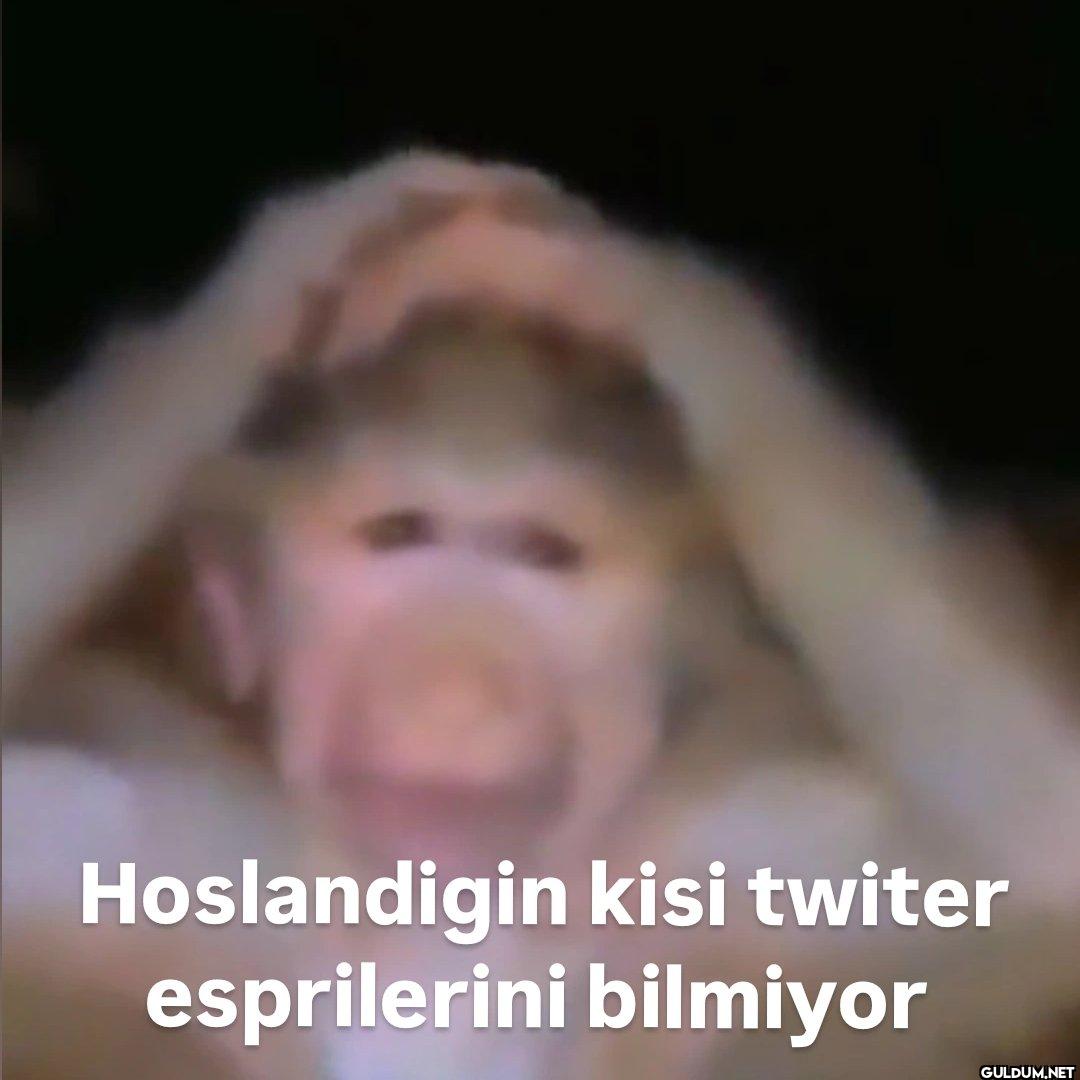 Hoslandigin kisi twiter...