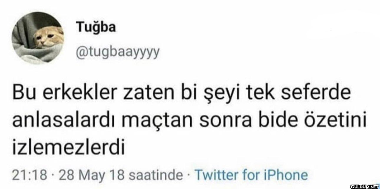 Bu erkekler zaten bi şeyi...