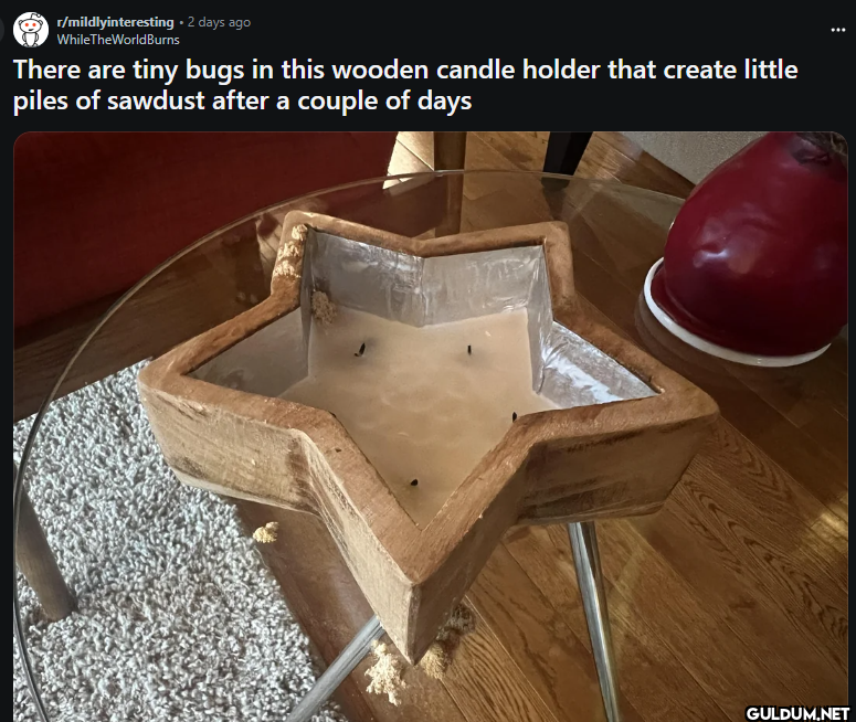 r/mildlyinteresting. 2...