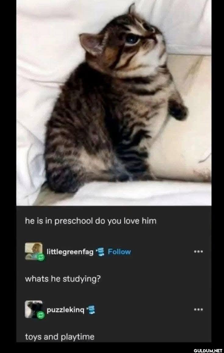 he is in preschool do you...
