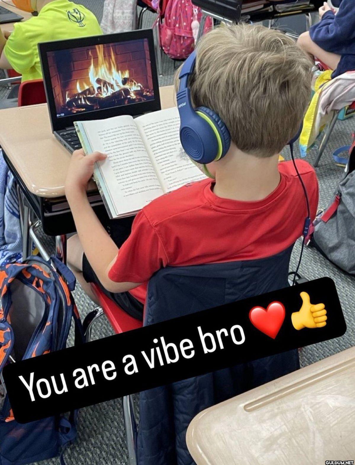 You are a vibe bro