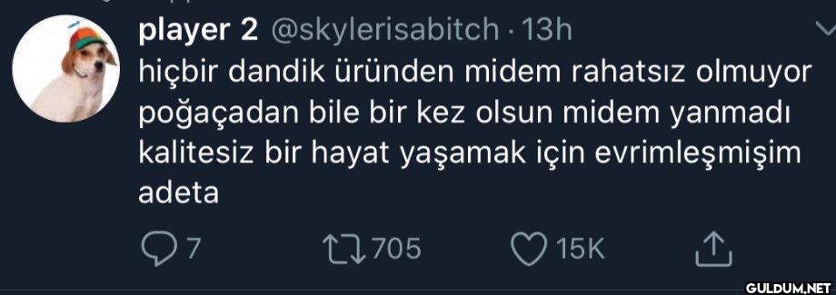 13h hiçbir dandik üründen...