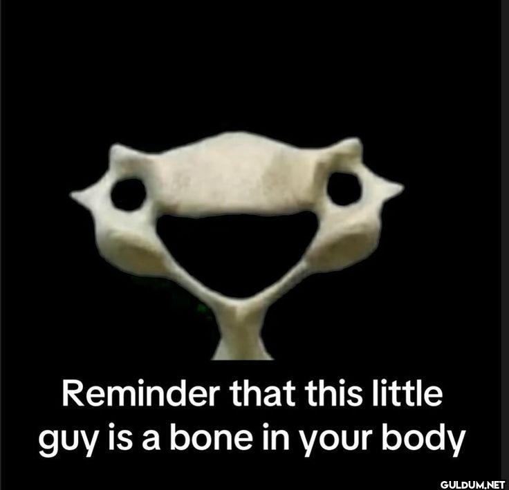Reminder that this little...