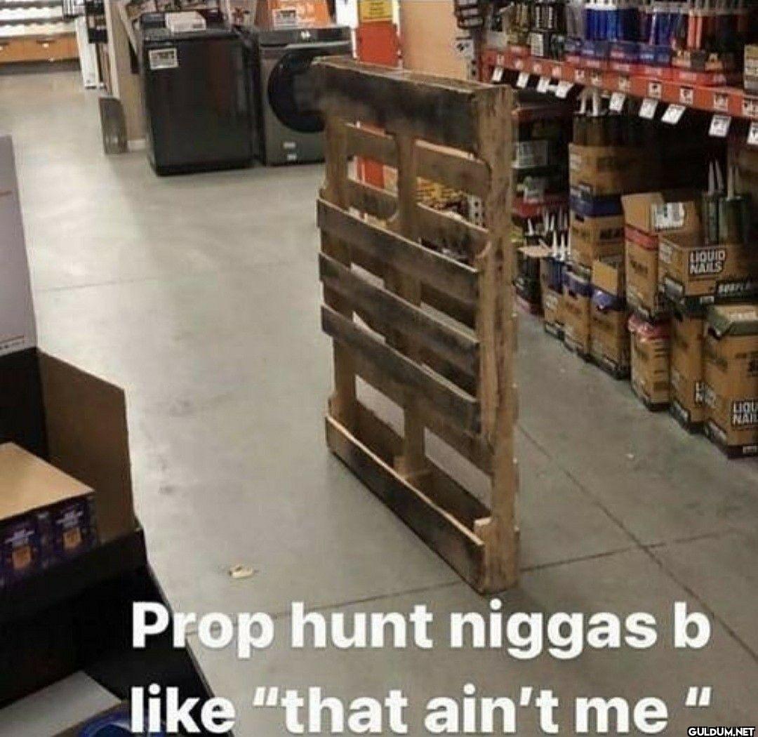 Prop hunt niggas b that ain't me