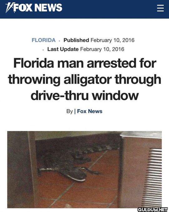 6.    FOX NEWS FLORIDA...