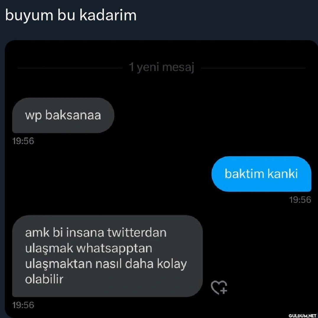 buyum bu kadarim wp...