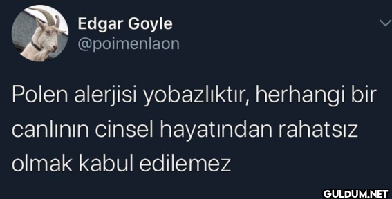 Polen alerjisi...