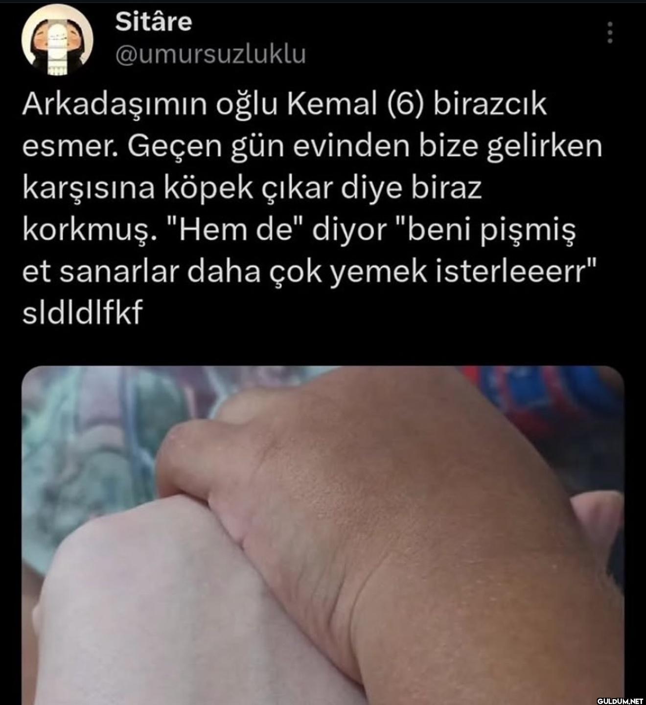Arkadaşımın oğlu Kemal (6)...