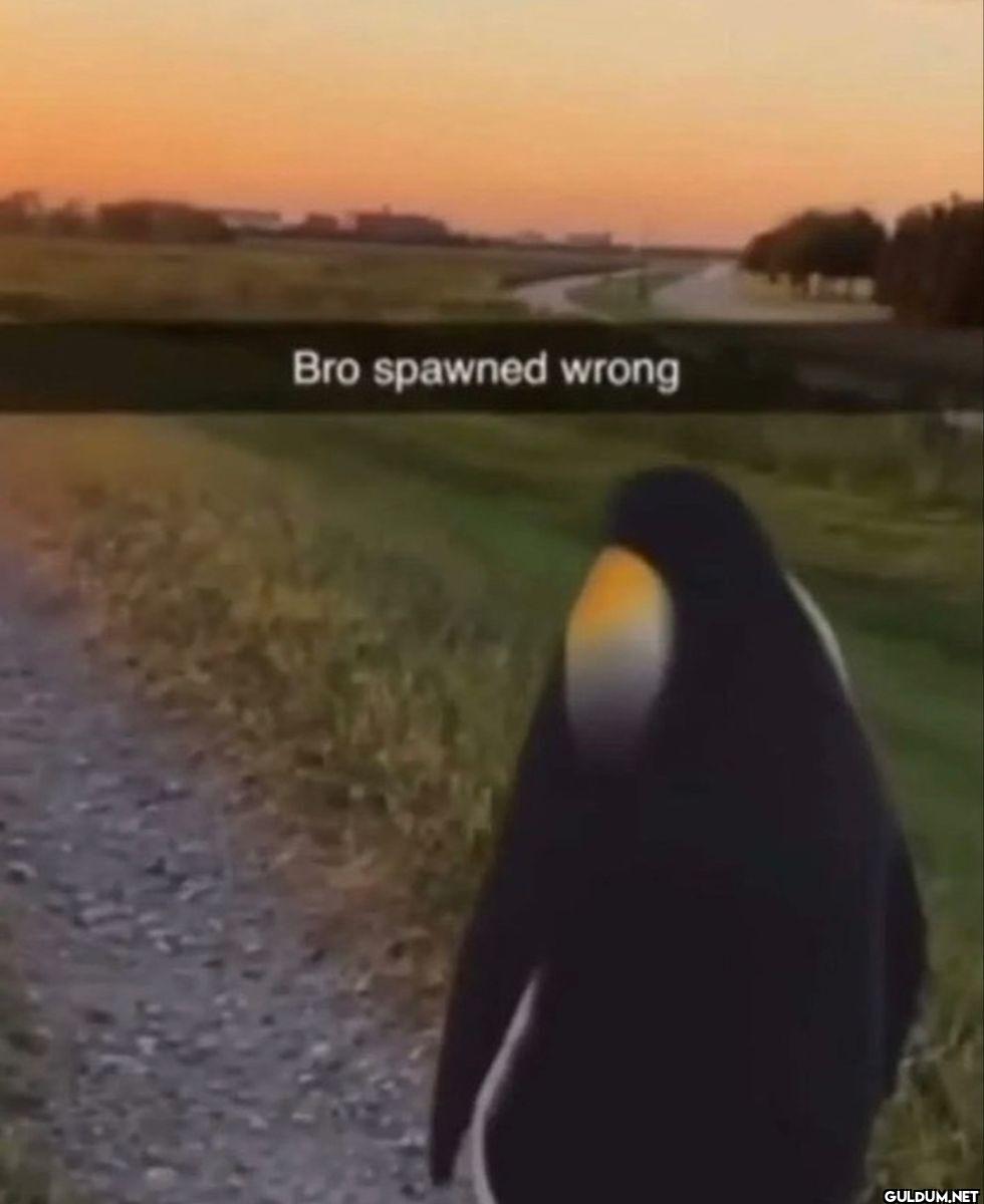 Bro spawned wrong