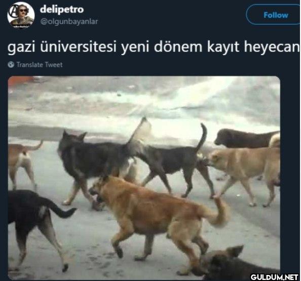 Follow gazi üniversitesi...