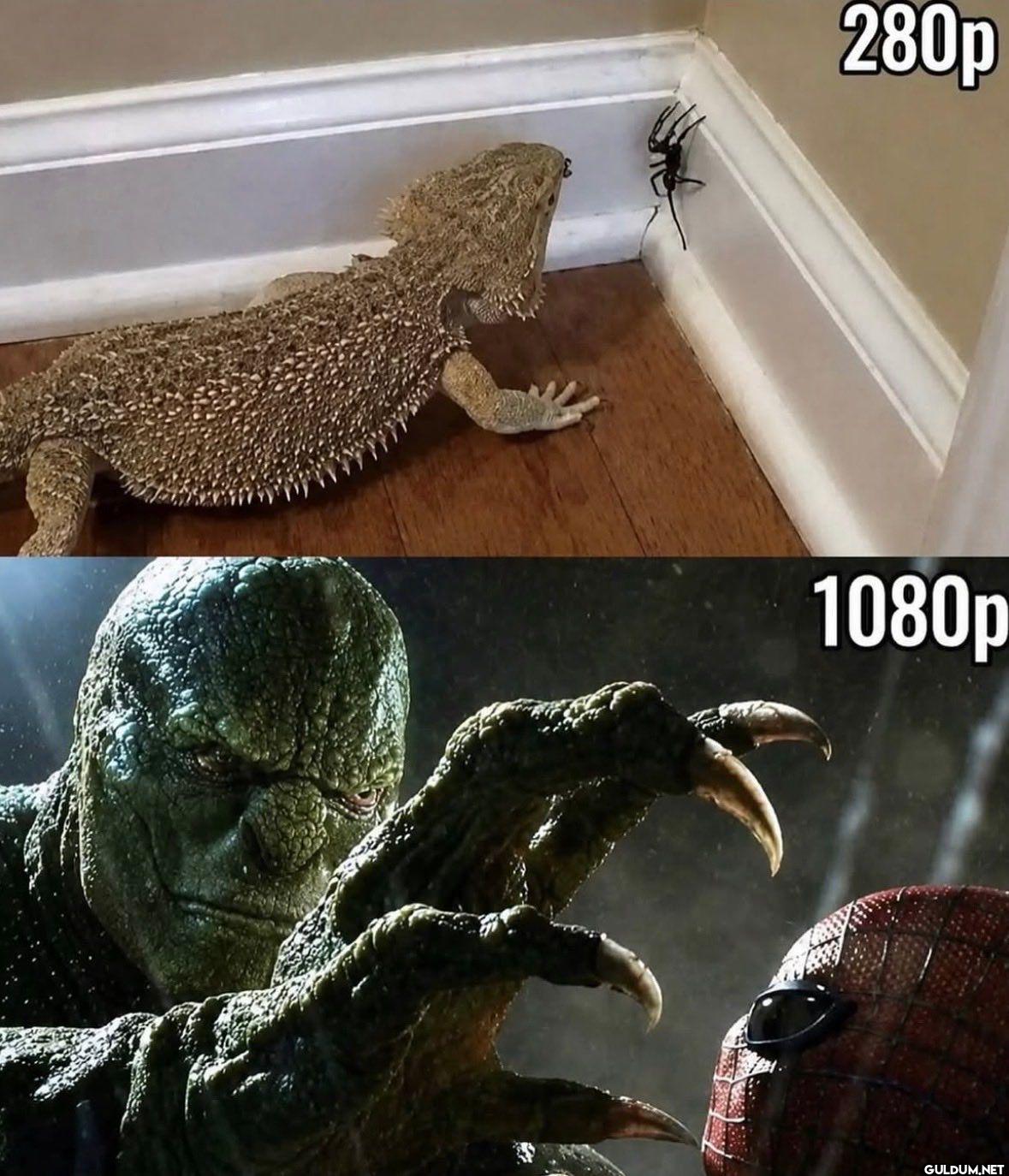 280p 1080p