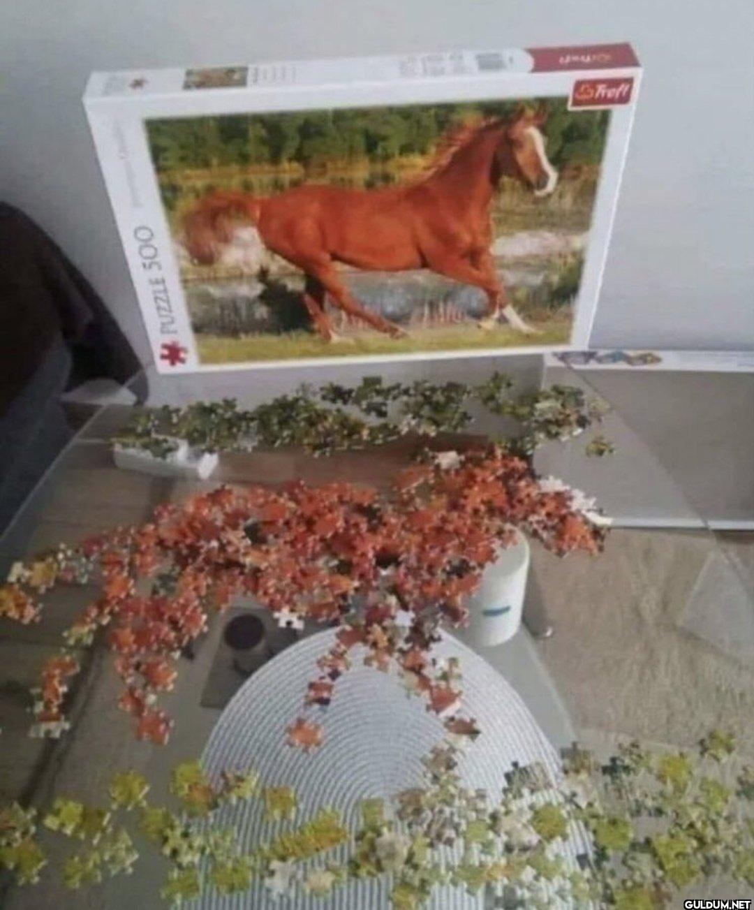 PUZZLE 500 4011 6512 Treft