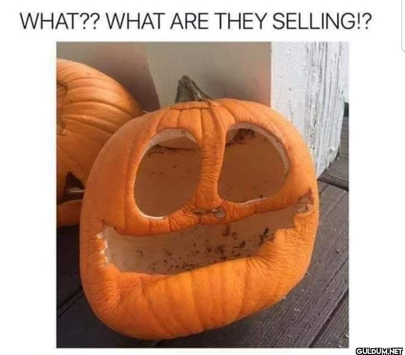 WHAT?? WHAT ARE THEY SELLING!?