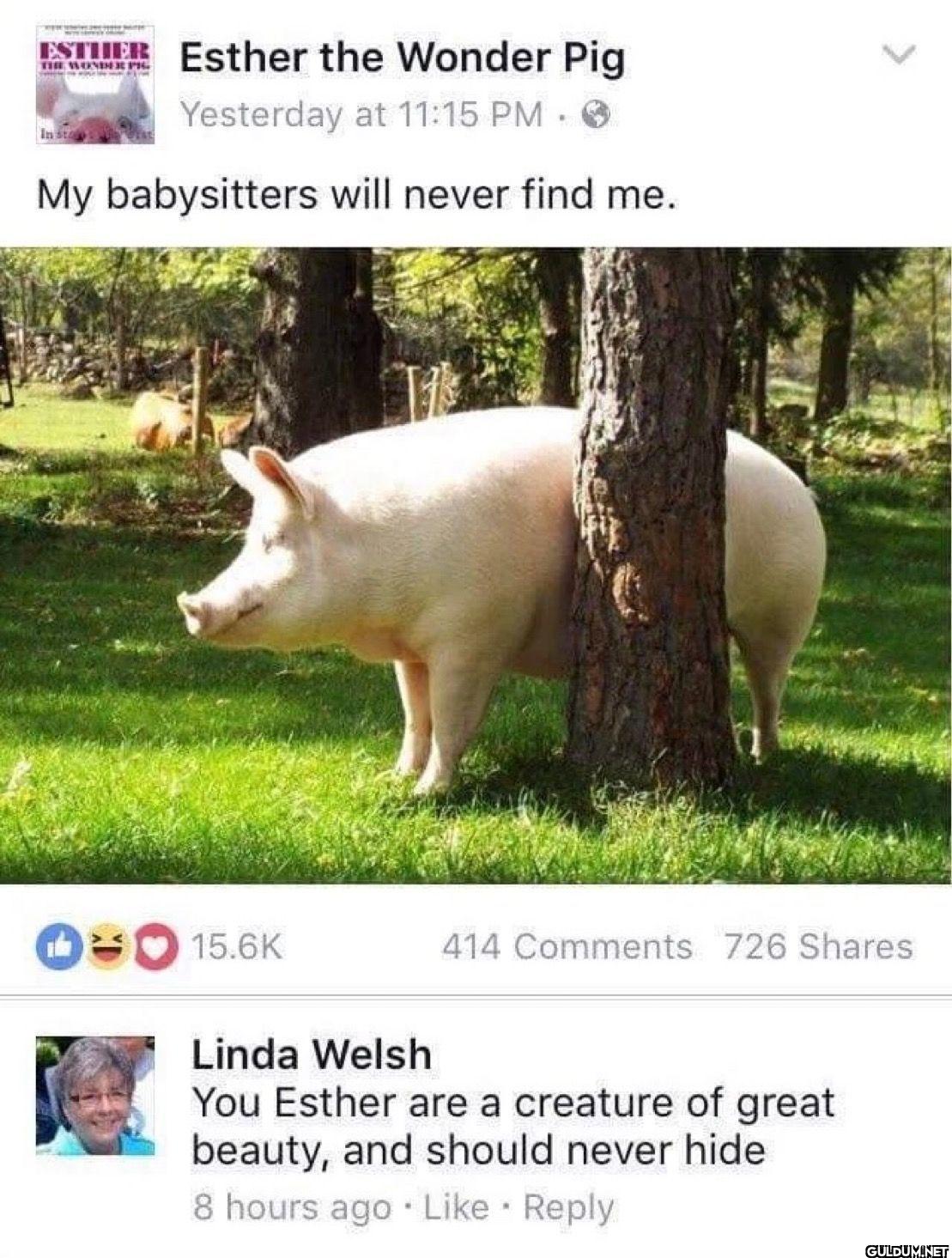 ESTHER Esther the Wonder...