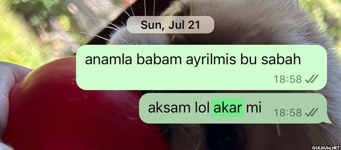 Sun, Jul 21 anamla babam...