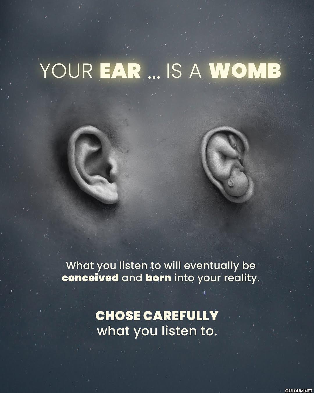 28.    YOUR EAR ... IS A...