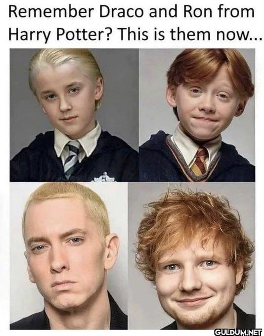 Damn.    Remember Draco...
