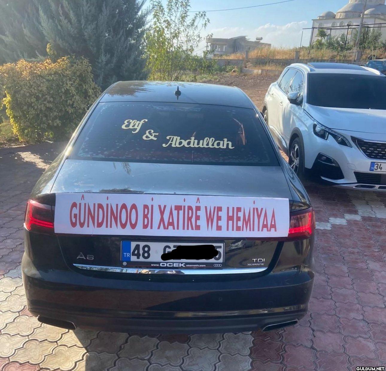 Elif & Abdullah GUNDINOO...