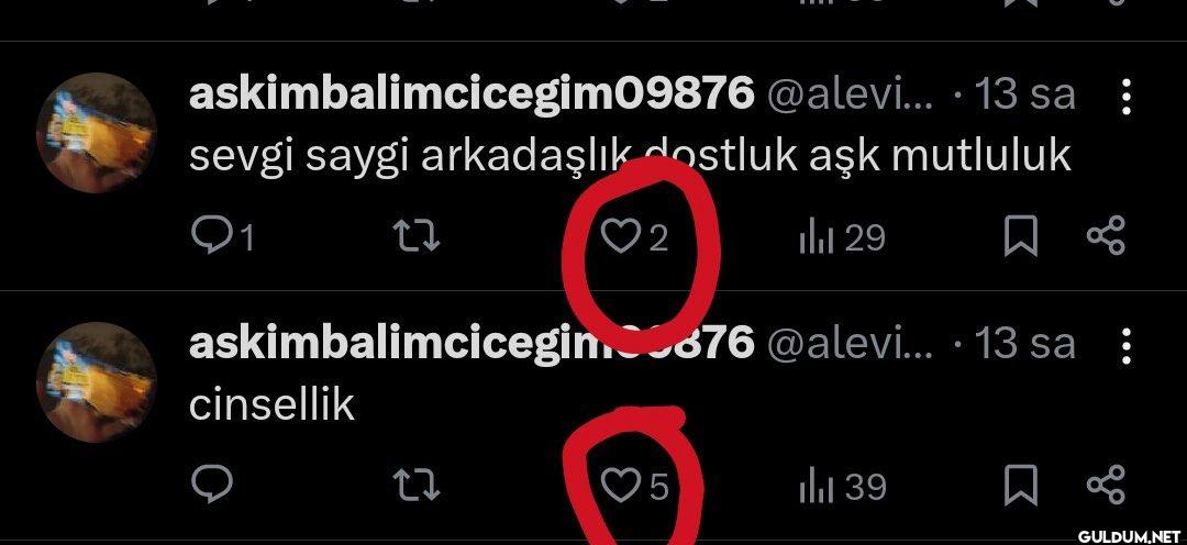 13 sa : . sevgi saygi...