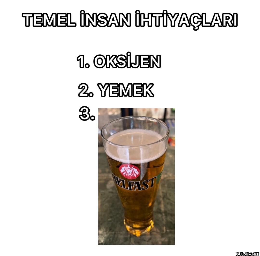 TEMEL İNSAN İHTİYAÇLARI 1....