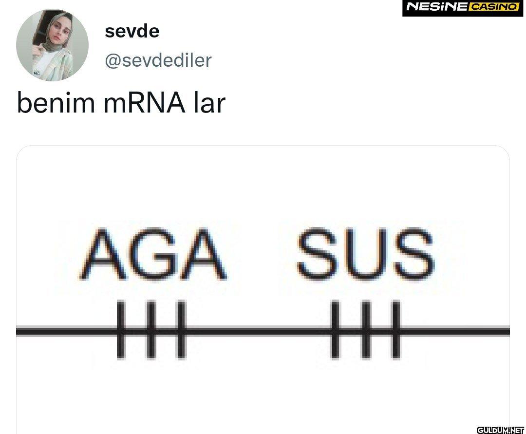 benim mRNA lar NESINE...