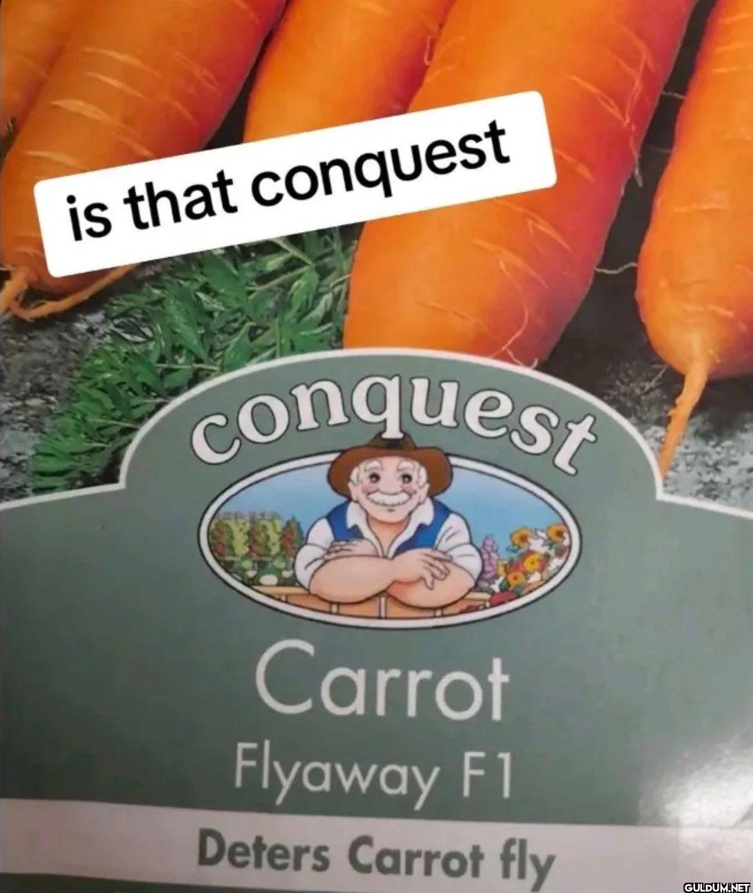 is that conquest conquest...