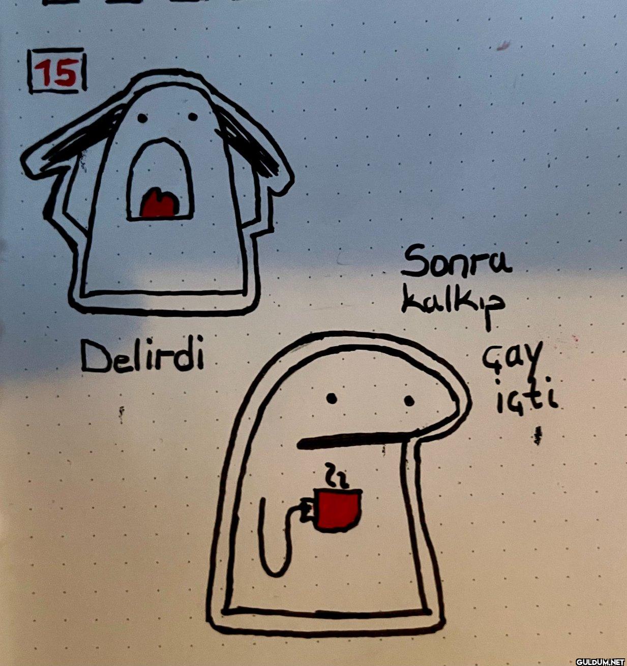 15 Sonra kalkıp Delirdi Gay içti