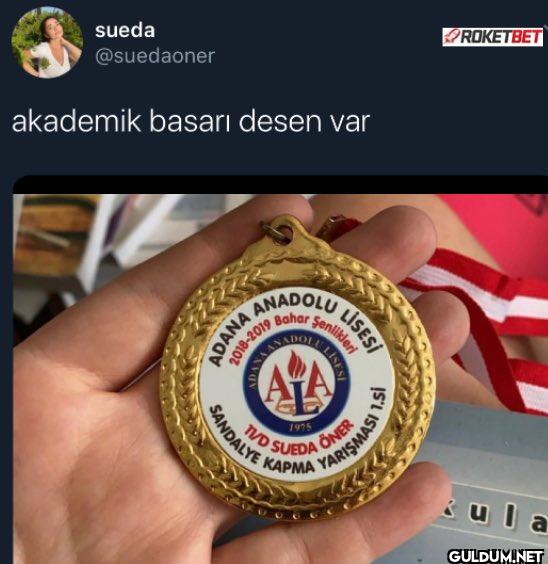 akademik basari desen var...