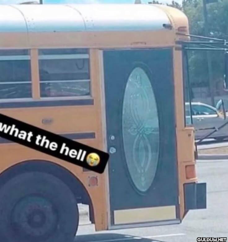 what the hell