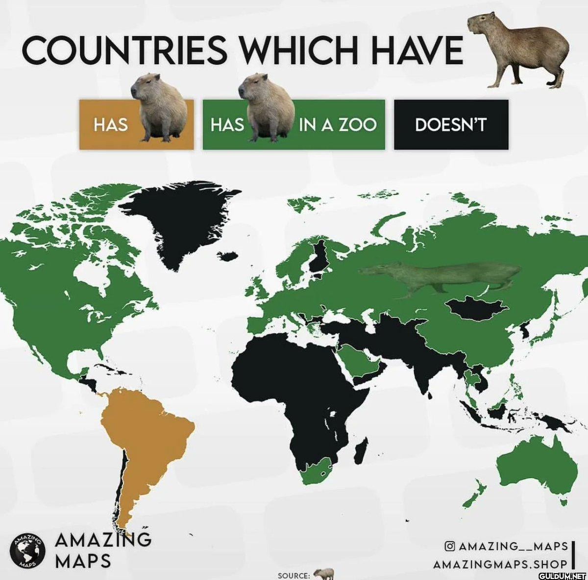 19. Which countries have...