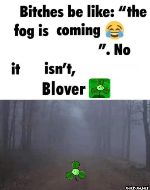 Bitches be the fog is...
