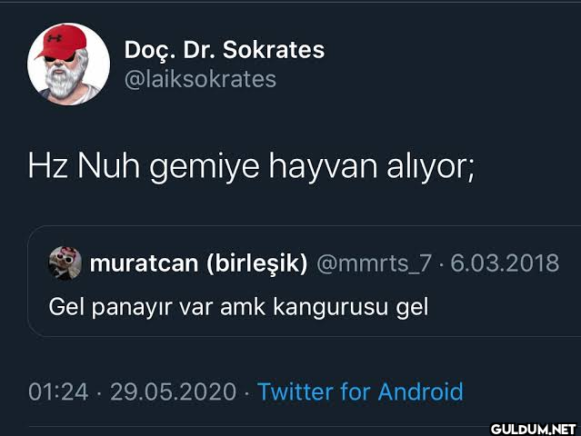 Hz Nuh gemiye hayvan...