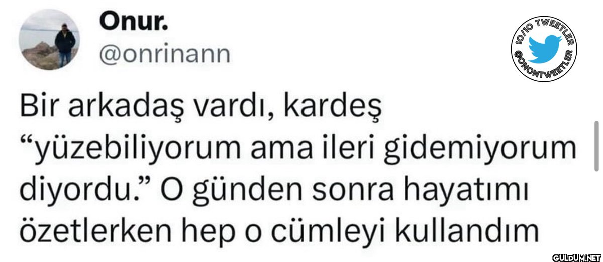 OL/O TWEETLER BONONTWE Bir...