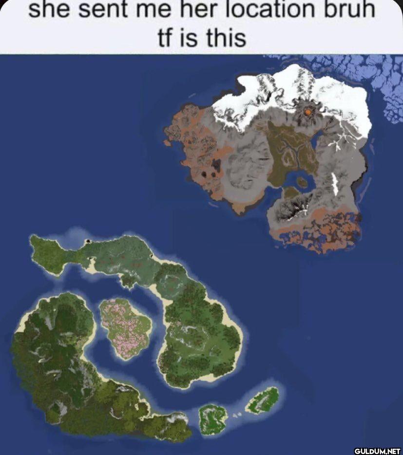 she sent me her location...
