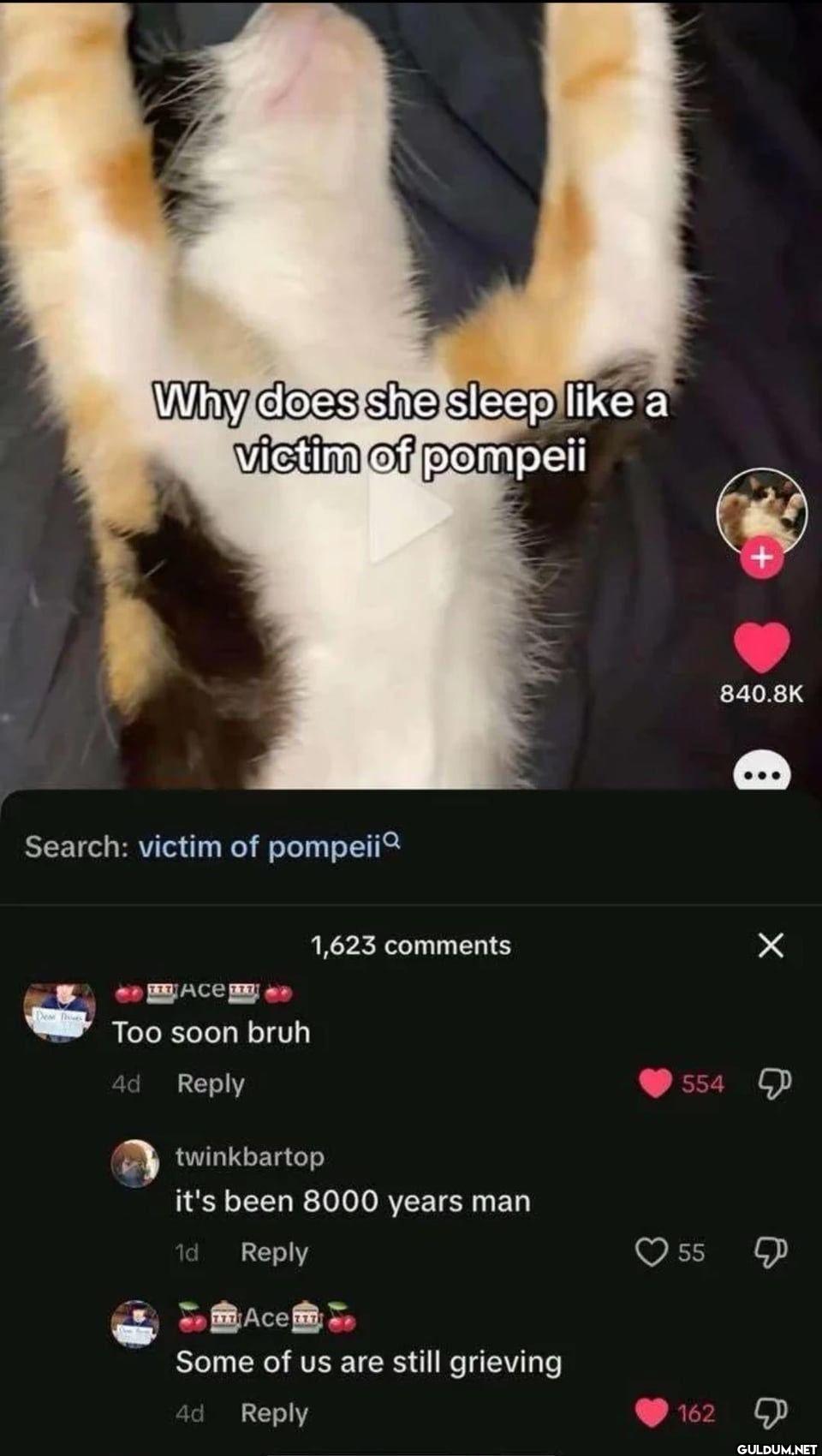 Why does she sleep like a...
