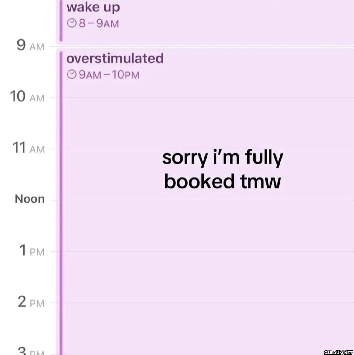 9 AM 10 AM wake up 08-9AM...