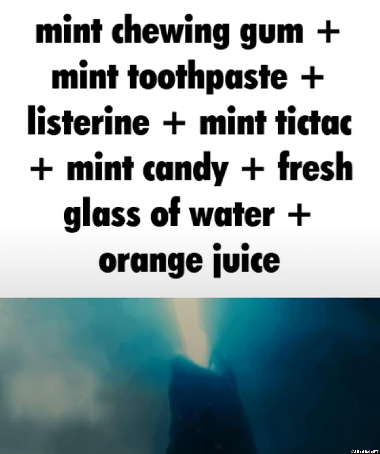 mint chewing gum + mint...