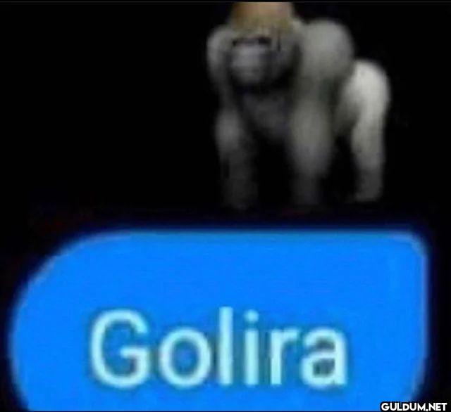 Golira